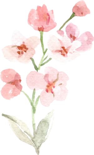 Watercolor Flowers illustration