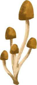 Detailed Traditional Mushroom