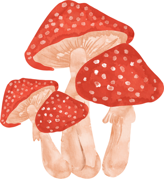 watercolor of red mushroom