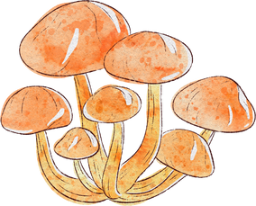 Splotchy Watercolor Fall Honey Mushrooms